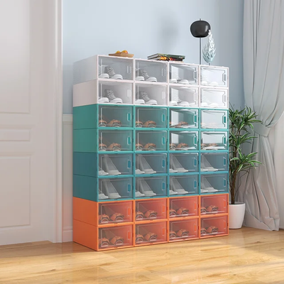 Shoe Organizer Box , Portable , Single
