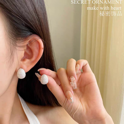 Silver Shiny Premium Earrings